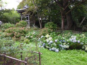 September 12, 2015 - (6) Zenkō-ji Temple - 010