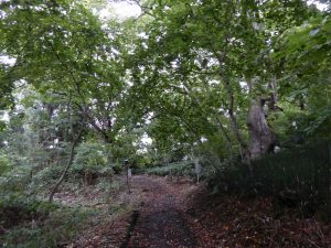 September 12, 2015 - (6) Zenkō-ji Temple - 012