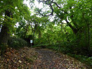 September 12, 2015 - (6) Zenkō-ji Temple - 023