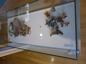 September 13, 2015 - (03) Toyako Volcano Science Museum - 022