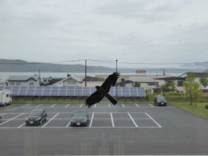 September 13, 2015 - (03) Toyako Volcano Science Museum - 040