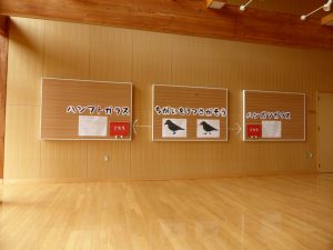 September 13, 2015 - (03) Toyako Volcano Science Museum - 049