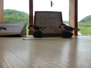September 13, 2015 - (03) Toyako Volcano Science Museum - 051