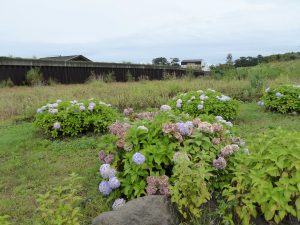 September 13, 2015 - (04) Toyako Volcano Science Museum Outside - 017