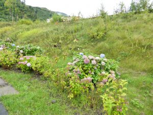 September 13, 2015 - (04) Toyako Volcano Science Museum Outside - 019