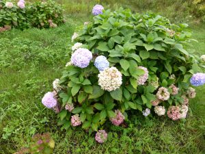 September 13, 2015 - (04) Toyako Volcano Science Museum Outside - 025