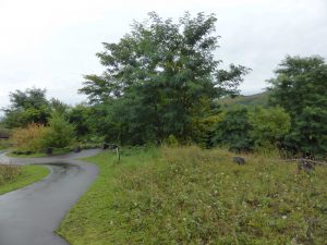 September 13, 2015 - (04) Toyako Volcano Science Museum Outside - 070