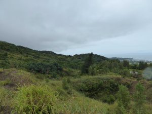 September 13, 2015 - (05) Usu Nishiyama the foot crater walking path - 022
