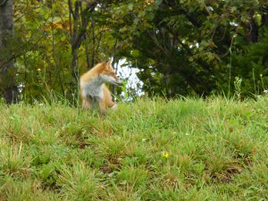 September 13, 2015 - (08) Toya Windsor Hotel - 031