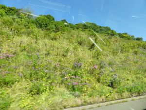 September 14, 2015 - (02) Way to Furano - 002