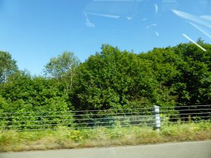 September 14, 2015 - (02) Way to Furano - 008