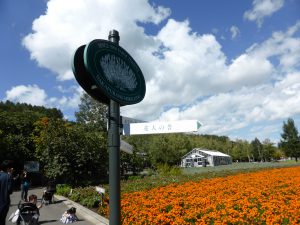 September 14, 2015 - (03) Farm Tomita - 001