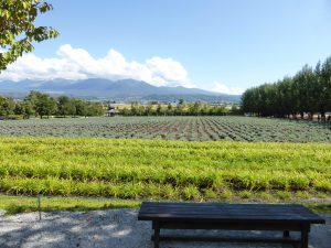 September 14, 2015 - (03) Farm Tomita - 035