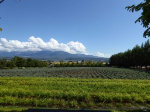 September 14, 2015 - (03) Farm Tomita - 037