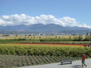 September 14, 2015 - (03) Farm Tomita - 064