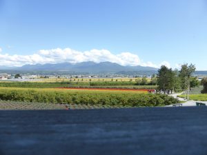 September 14, 2015 - (03) Farm Tomita - 067