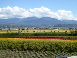 September 14, 2015 - (03) Farm Tomita - 068