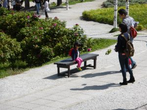 September 14, 2015 - (03) Farm Tomita - 069