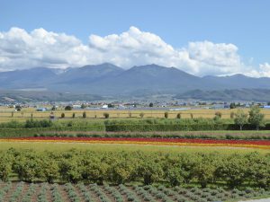 September 14, 2015 - (03) Farm Tomita - 070