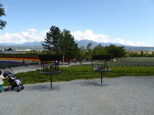 September 14, 2015 - (03) Farm Tomita - 071