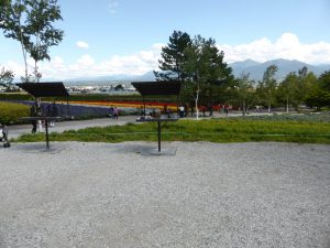 September 14, 2015 - (03) Farm Tomita - 073