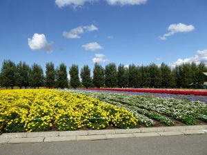 September 14, 2015 - (03) Farm Tomita - 077