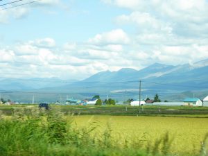 September 14, 2015 - (04) Furano - 017