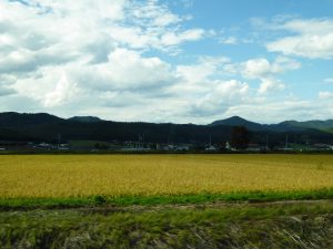 September 14, 2015 - (04) Furano - 018