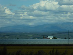 September 14, 2015 - (04) Furano - 019