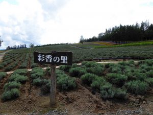 September 14, 2015 - (05) Saika no Sato - 006