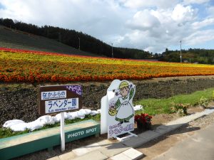 September 14, 2015 - (06) Nakafurano - 004