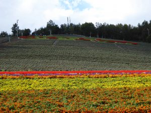 September 14, 2015 - (06) Nakafurano - 005