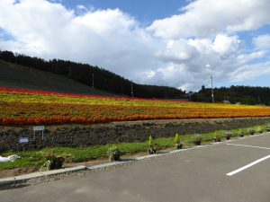 September 14, 2015 - (06) Nakafurano - 008