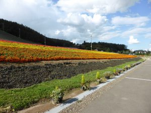 September 14, 2015 - (06) Nakafurano - 014
