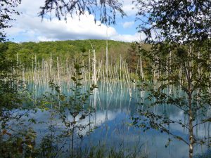 September 14, 2015 - (07) Biei Shirogane Blue Pond - 004