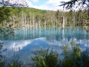September 14, 2015 - (07) Biei Shirogane Blue Pond - 009