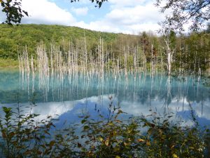 September 14, 2015 - (07) Biei Shirogane Blue Pond - 010