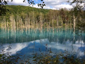 September 14, 2015 - (07) Biei Shirogane Blue Pond - 011