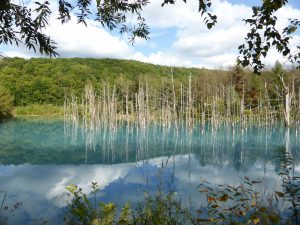September 14, 2015 - (07) Biei Shirogane Blue Pond - 014