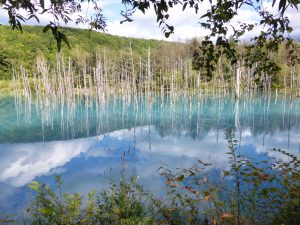 September 14, 2015 - (07) Biei Shirogane Blue Pond - 015