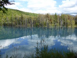 September 14, 2015 - (07) Biei Shirogane Blue Pond - 017
