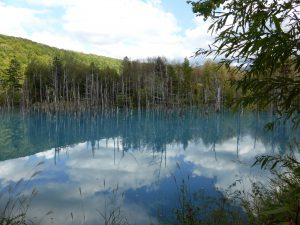 September 14, 2015 - (07) Biei Shirogane Blue Pond - 020