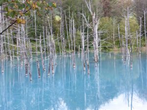September 14, 2015 - (07) Biei Shirogane Blue Pond - 022