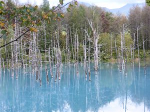 September 14, 2015 - (07) Biei Shirogane Blue Pond - 023