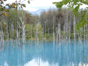 September 14, 2015 - (07) Biei Shirogane Blue Pond - 024