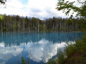 September 14, 2015 - (07) Biei Shirogane Blue Pond - 027