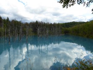 September 14, 2015 - (07) Biei Shirogane Blue Pond - 036