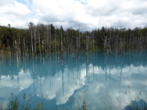September 14, 2015 - (07) Biei Shirogane Blue Pond - 038