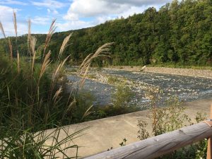 September 14, 2015 - (07) Biei Shirogane Blue Pond - 049