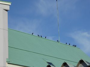 September 15, 2015 - (02) Outside - 021